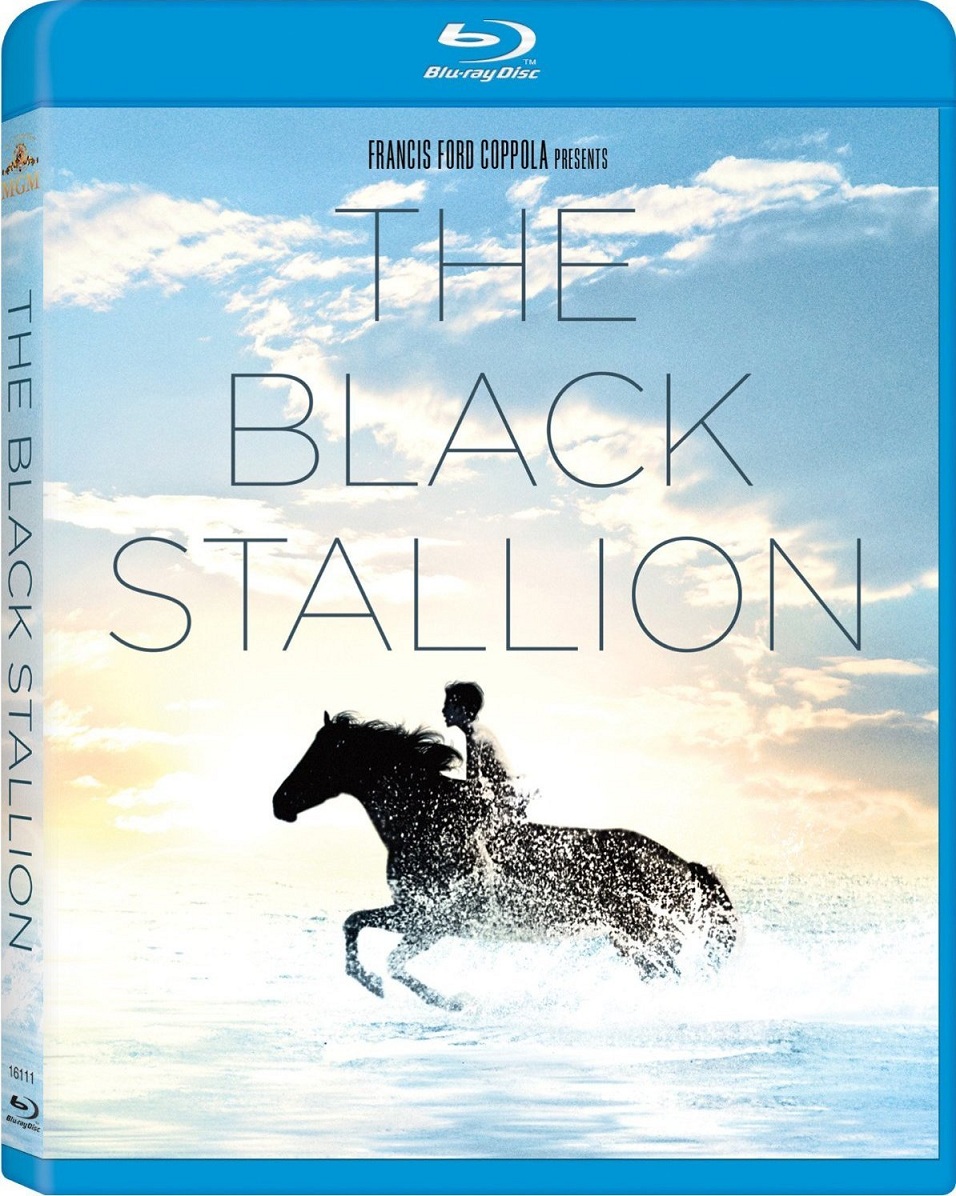 the.black.stallion.07.jpg